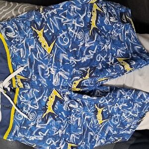 Quicksilver boardshorts